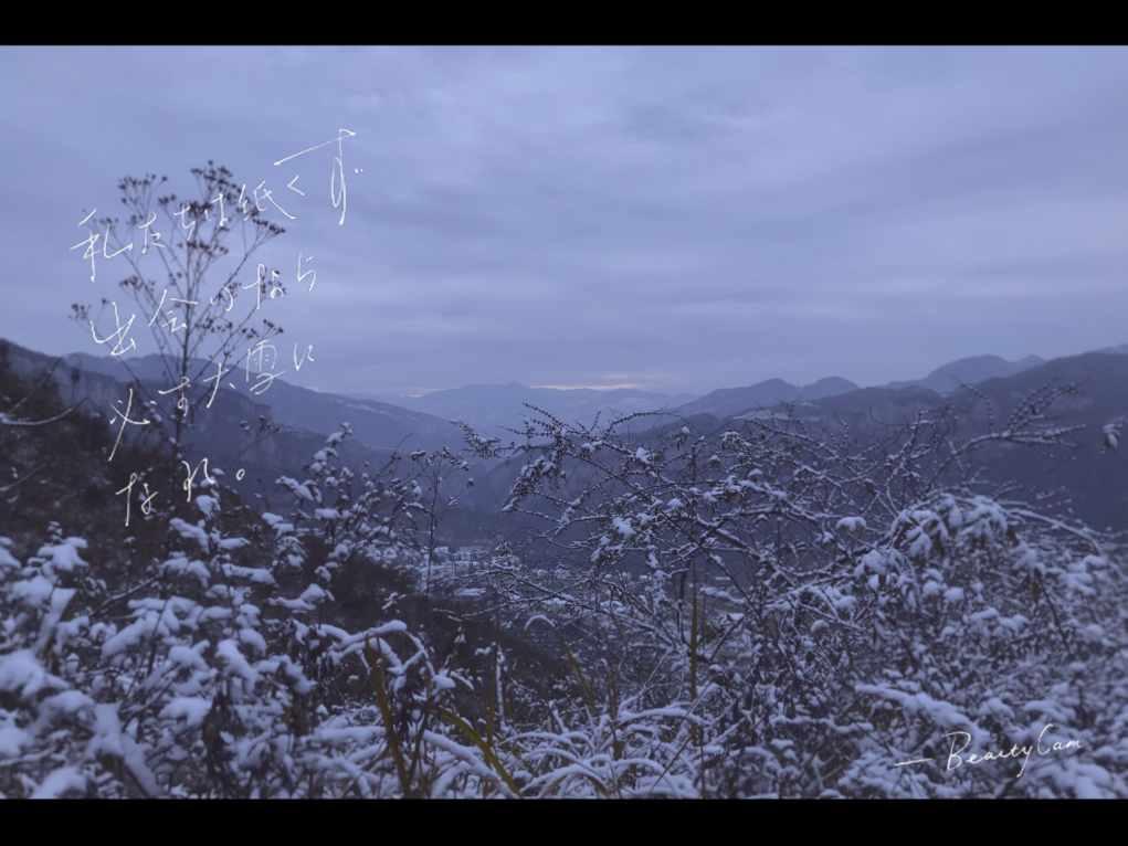 动物帮帮忙保卫家园